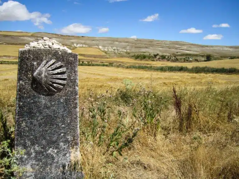 Hito de vieira en los campos del Camino de Santiago
